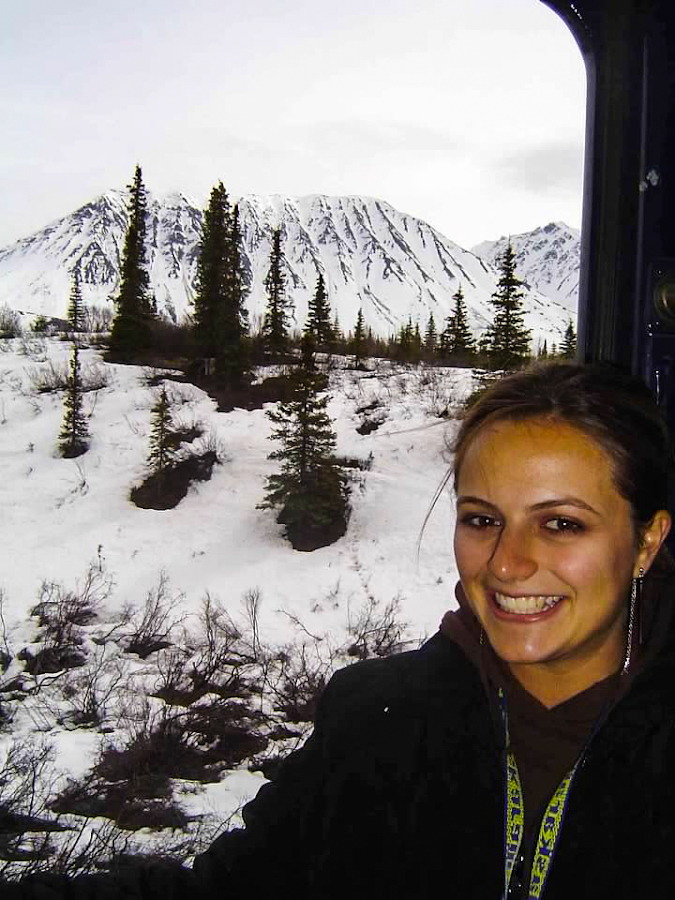 view from the alaska railroad train