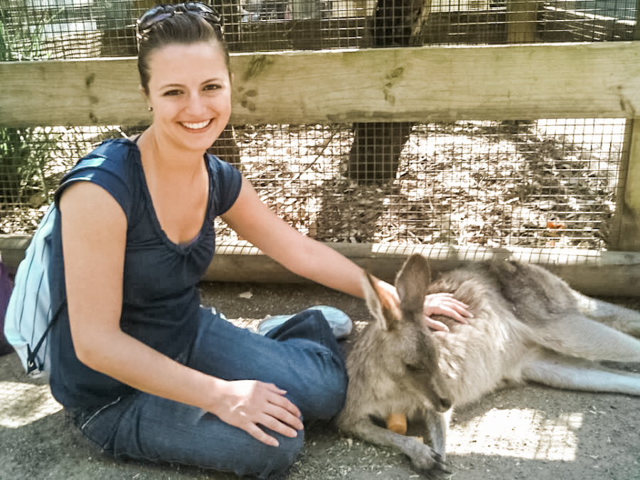 things to do in australia - petting wallaby at featherdale wildlife park