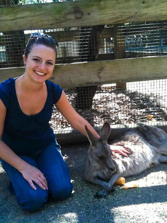 things to do in australia - petting wallaby at featherdale wildlife park