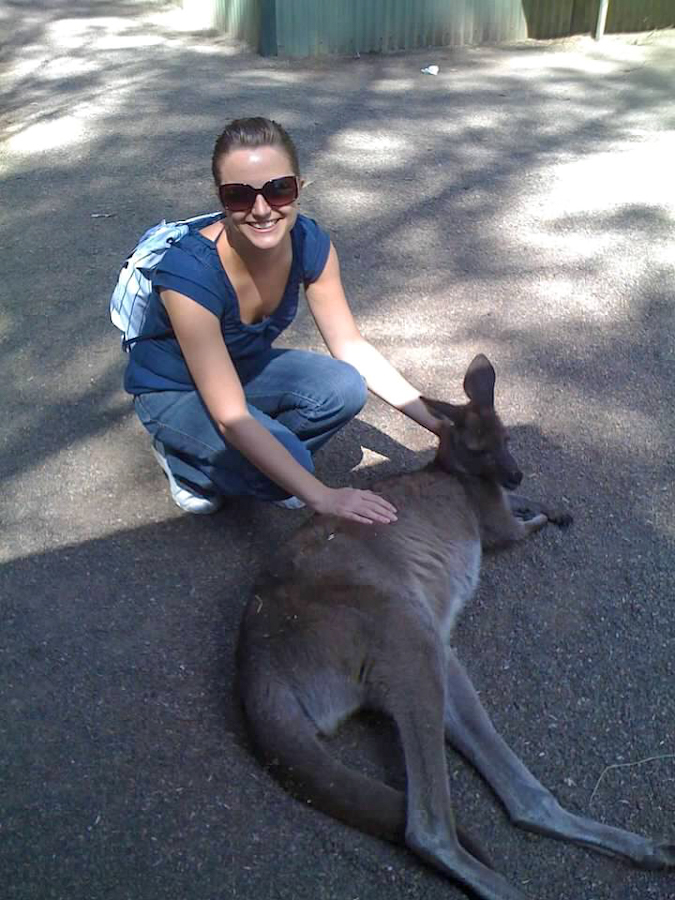 things to do in australia - petting kangaroo at featherdale wildlife park