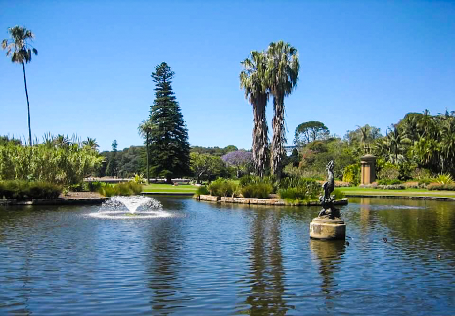things to do in australia - the royal botanic garden sydney