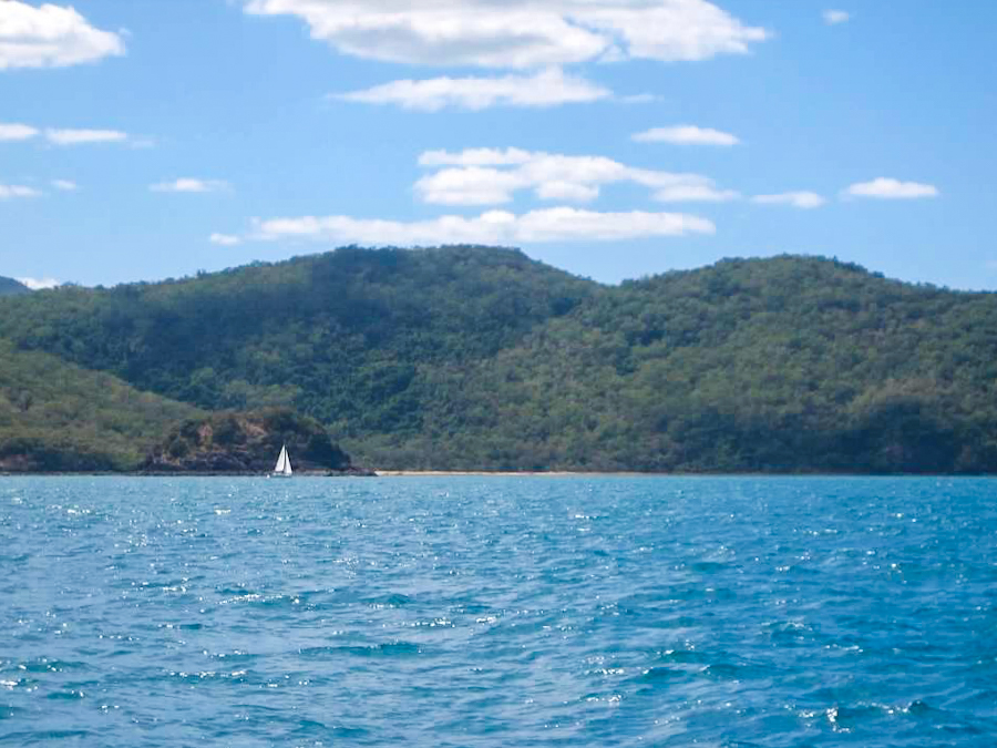 sailboat in whitsunday island