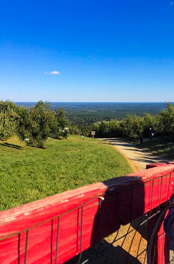 things to do in charlottesville, va - go apple picking at carter mountain orchard
