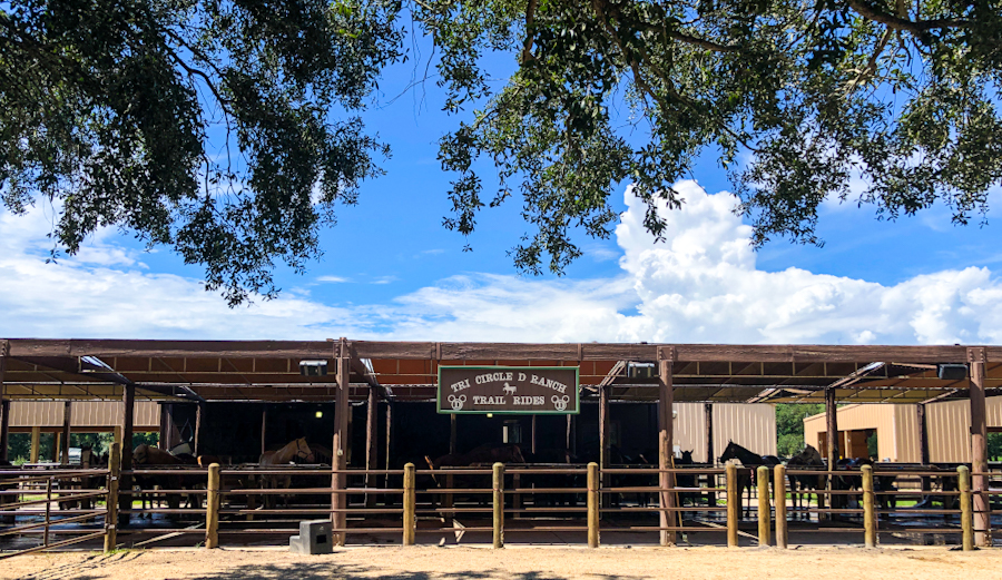 fort wilderness tri circle d ranch