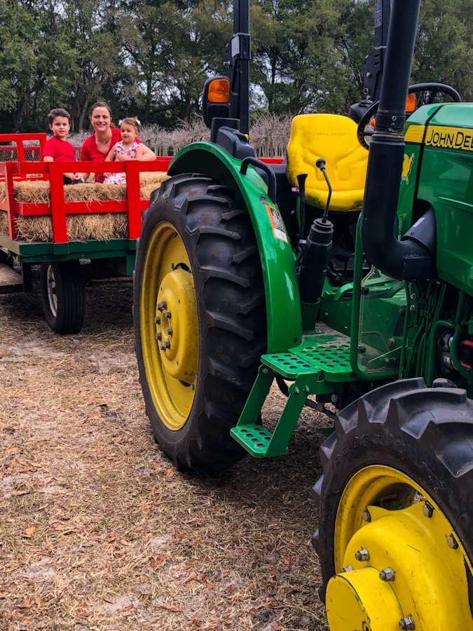 tractor ride at oak haven farm