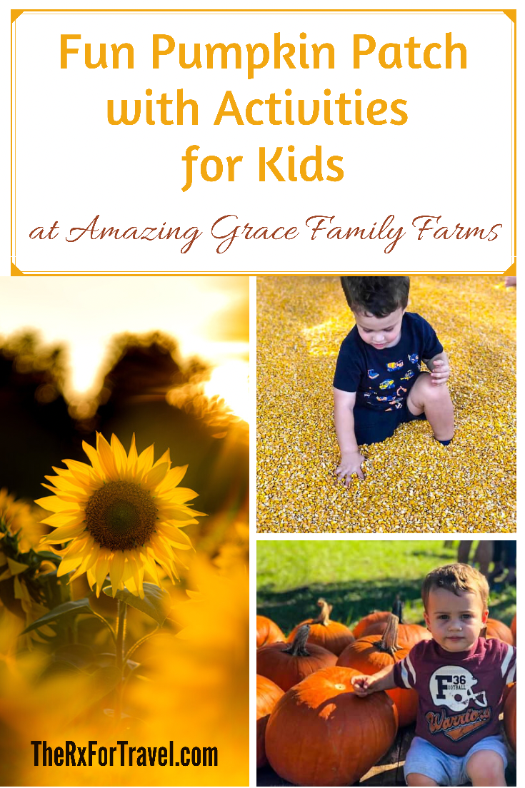 All the Fun Activities for Kids at Amazing Grace Family Farms in North Florida