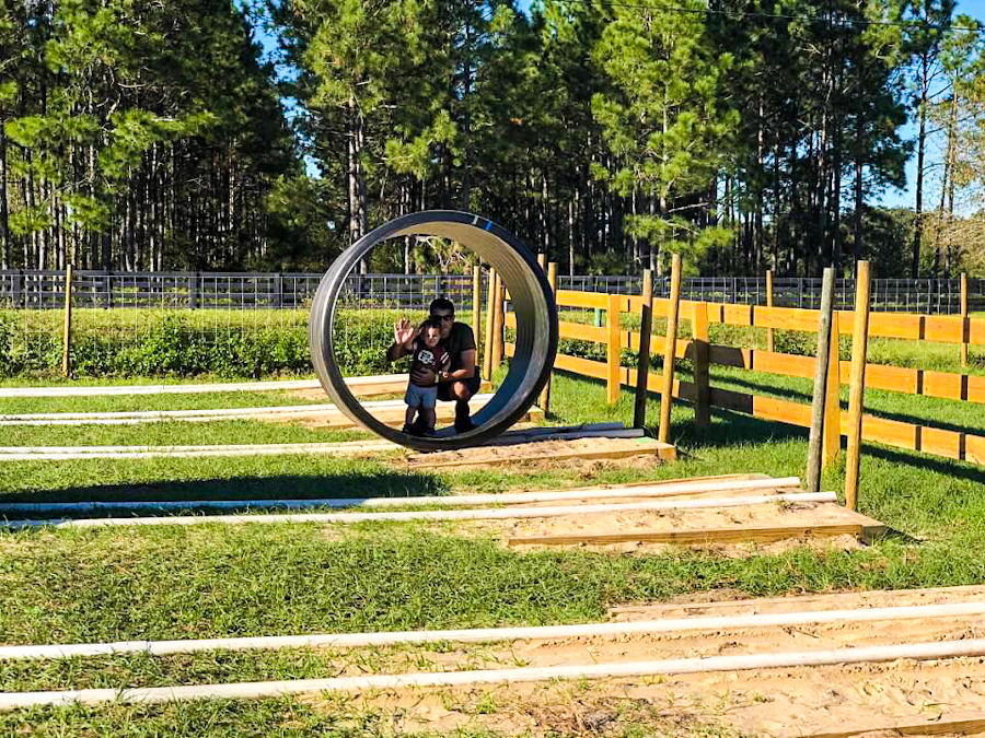 Fun Things to do in October for fall in Florida at this pumpkin patch near me in North Florida at Amazing Grace Family Farms