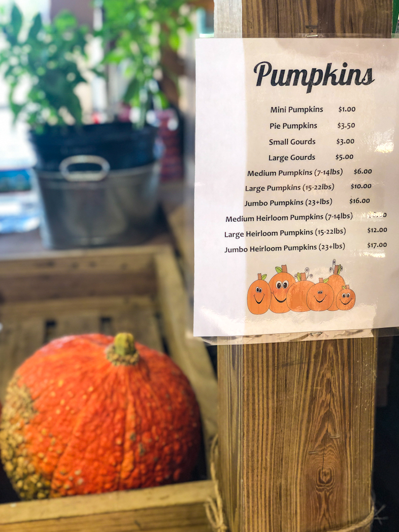 Pumpkins for sale at Scott's Country Market