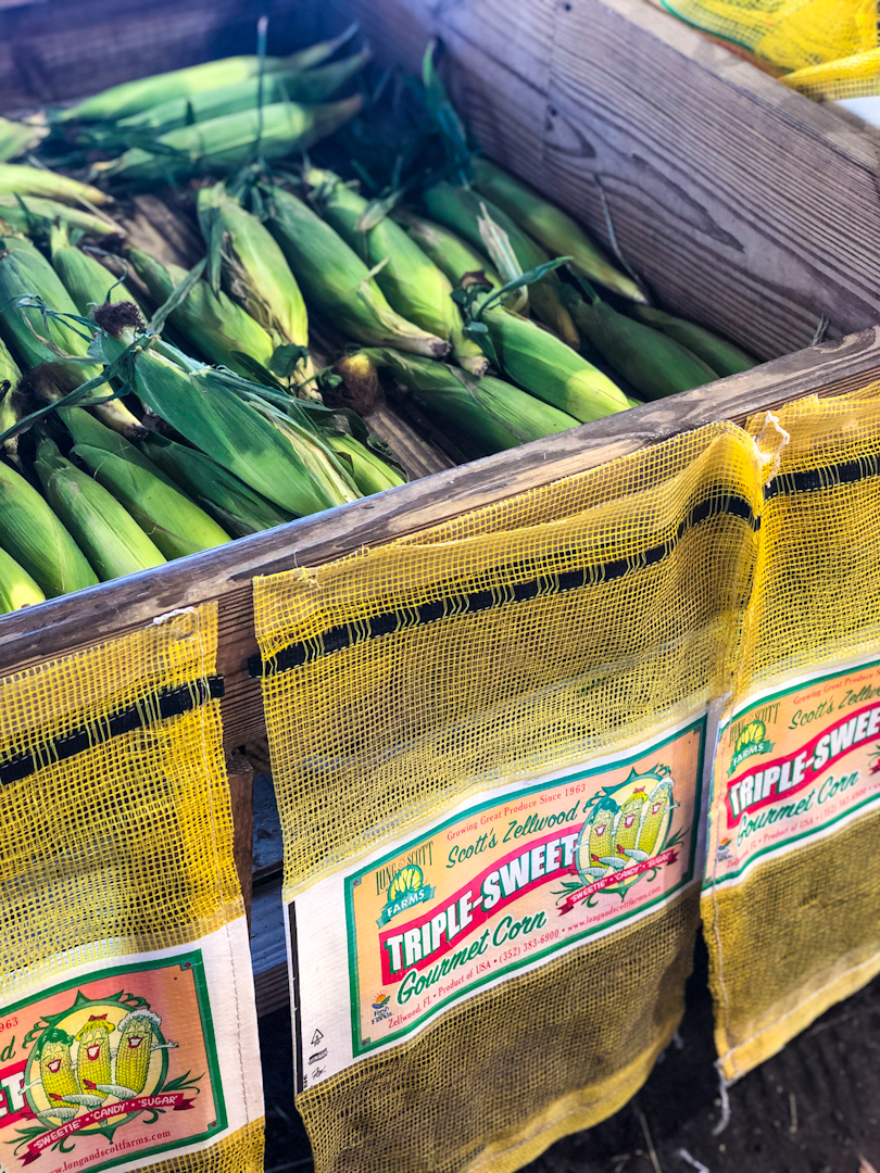 Zellwood Corn available for purchase at Scott's Country Market
