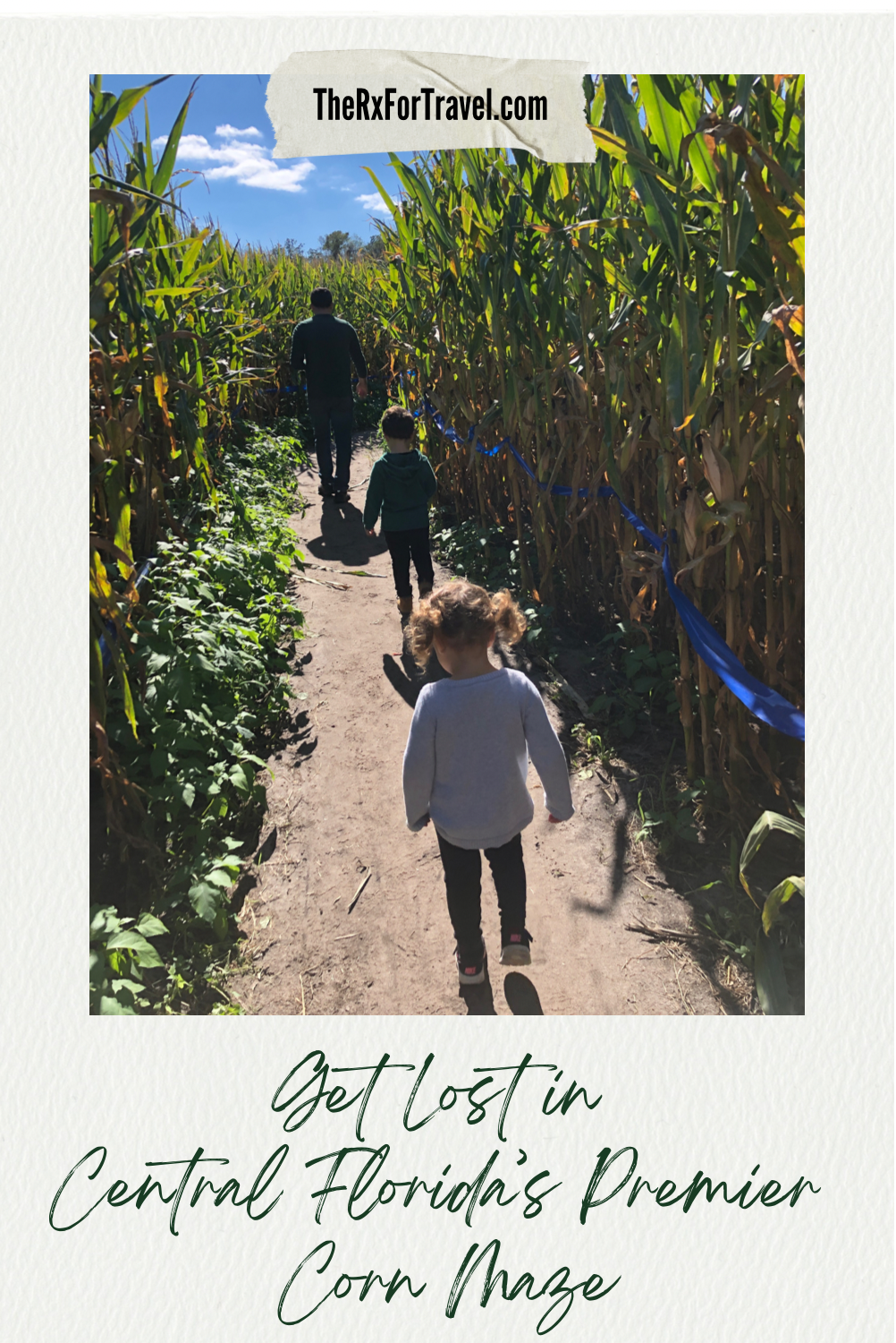 The Ultimate Maze of Corn at Long and Scott Farms, Mount Dora's corn maze.