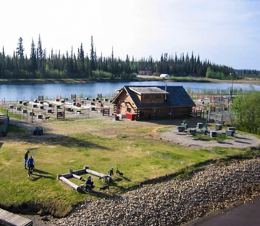 See a demonstration of the huskies in Alaska while on your Fairbanks River Boat Tour on your Alaska vacation