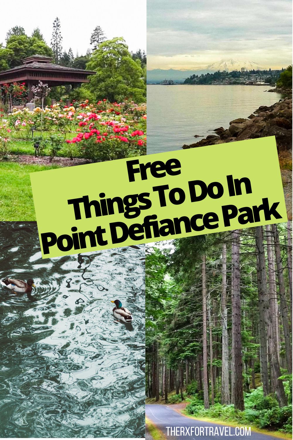 There are so many things to do in Point Defiance Park in Tacoma, Washington. Read the guide for all there is including many free things to do too