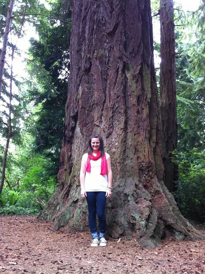 Mountaineers tree is 450 years old and easily accessible for photos along 5 Mile Road in Point Defiance Park. One of the many free things to do in Tacoma, Washington