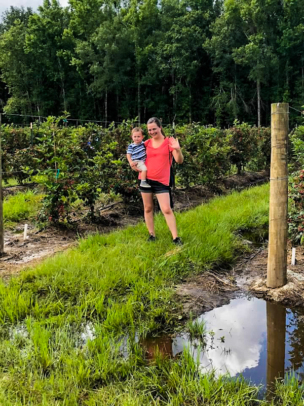 If you love fruit picking, then be sure to visit this idyllic u pick blackberries farm here at Jacksonville’s Congaree and Penn. Read on for all the details you need to make this a fun day out. 