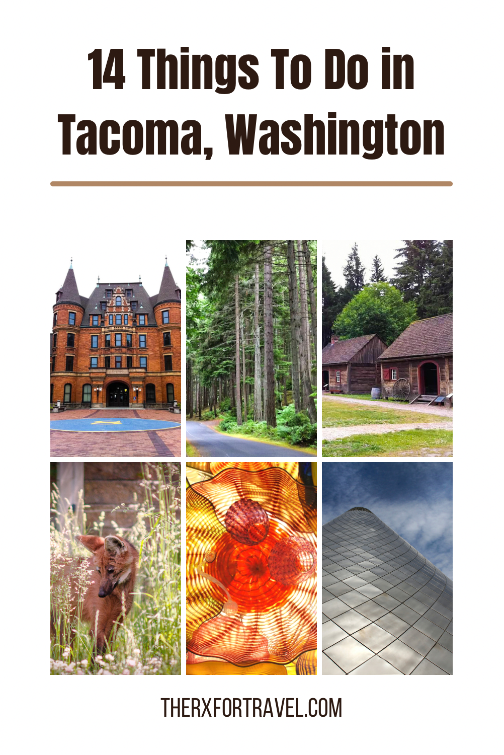 Read on to find out more about some free, some educational, and all the fun things to do in Tacoma, Washington. 