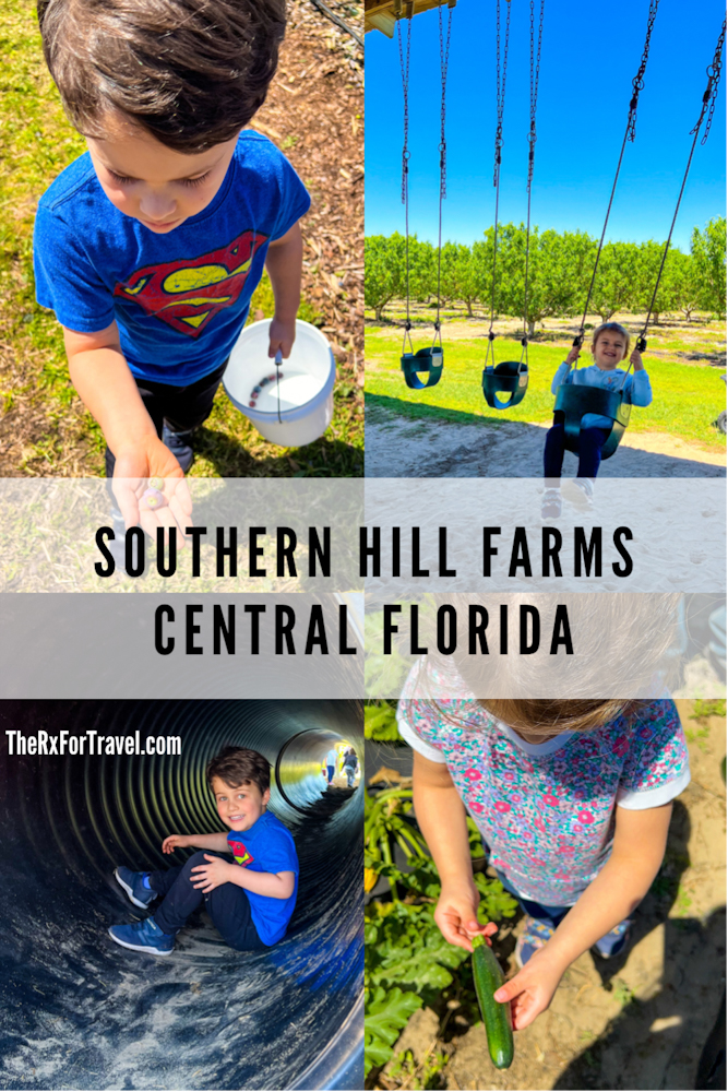 Did you know there were farms not just for fruit picking, but also vegetable picking? Southern Hill Farms in Clermont, FL has this and many more activities for the family.