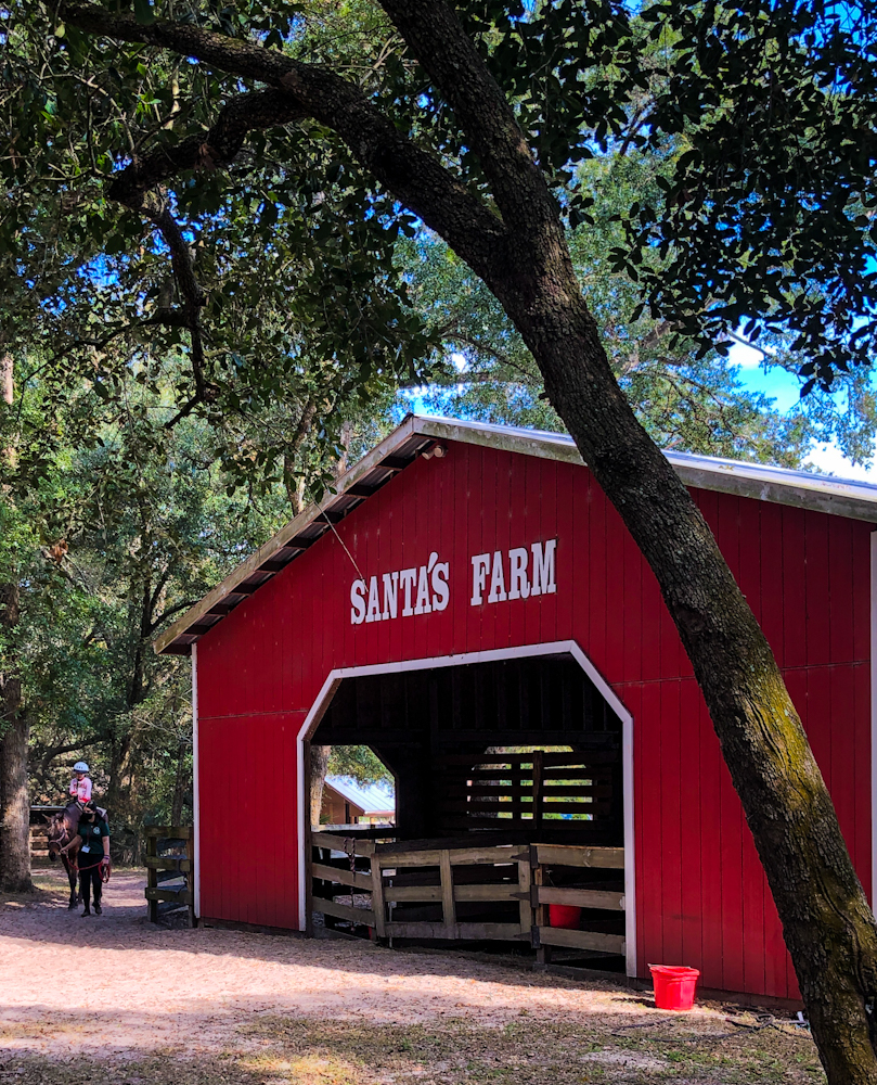 Aside from the cut your own Christmas Tree, Jolly Acres at Santa's Farm has tons of things to do with kids.