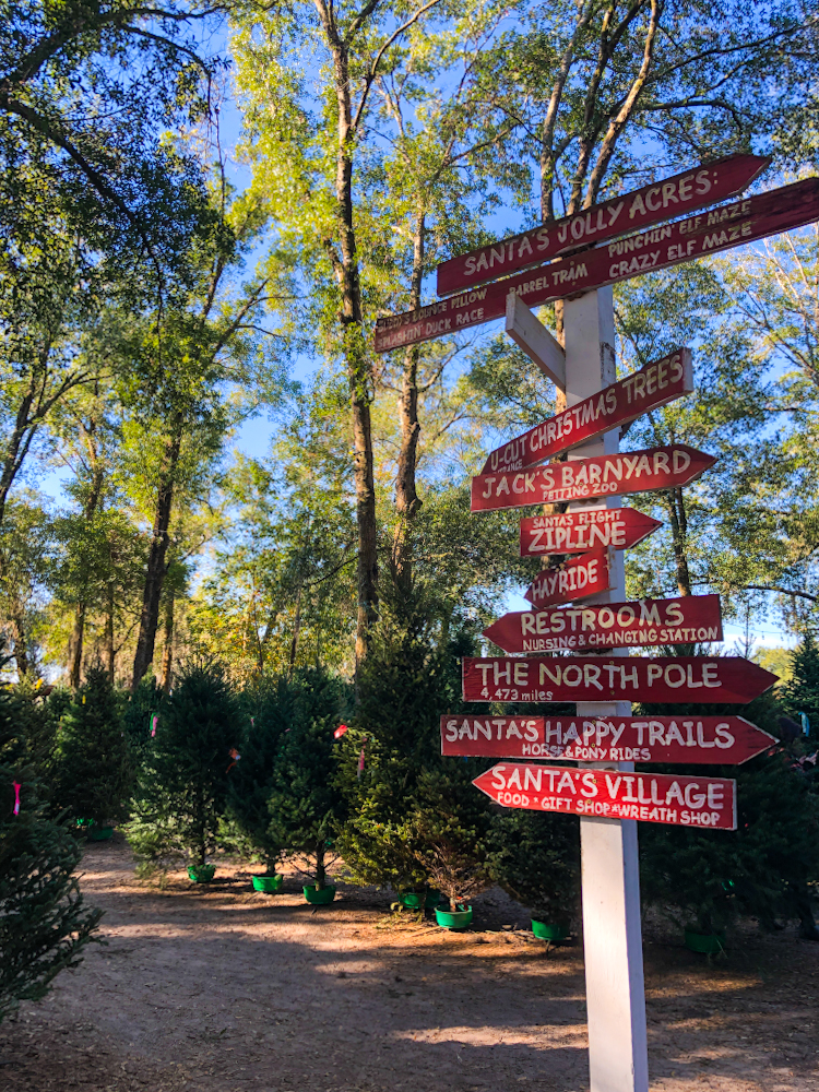 There are so many things to do for kids here at Santa's Farm and Christmas Tree Forest.