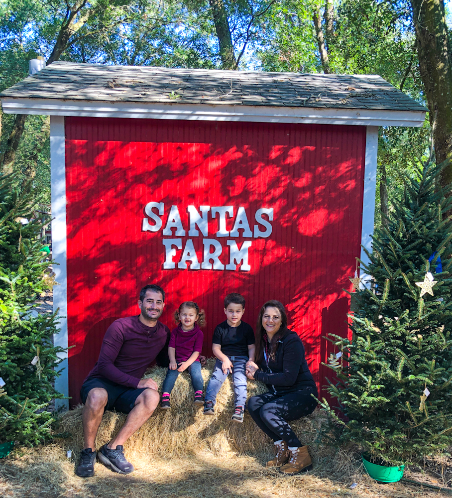 You are currently viewing Cut Your Own Christmas Tree at Santa’s Farm & Christmas Tree Forest