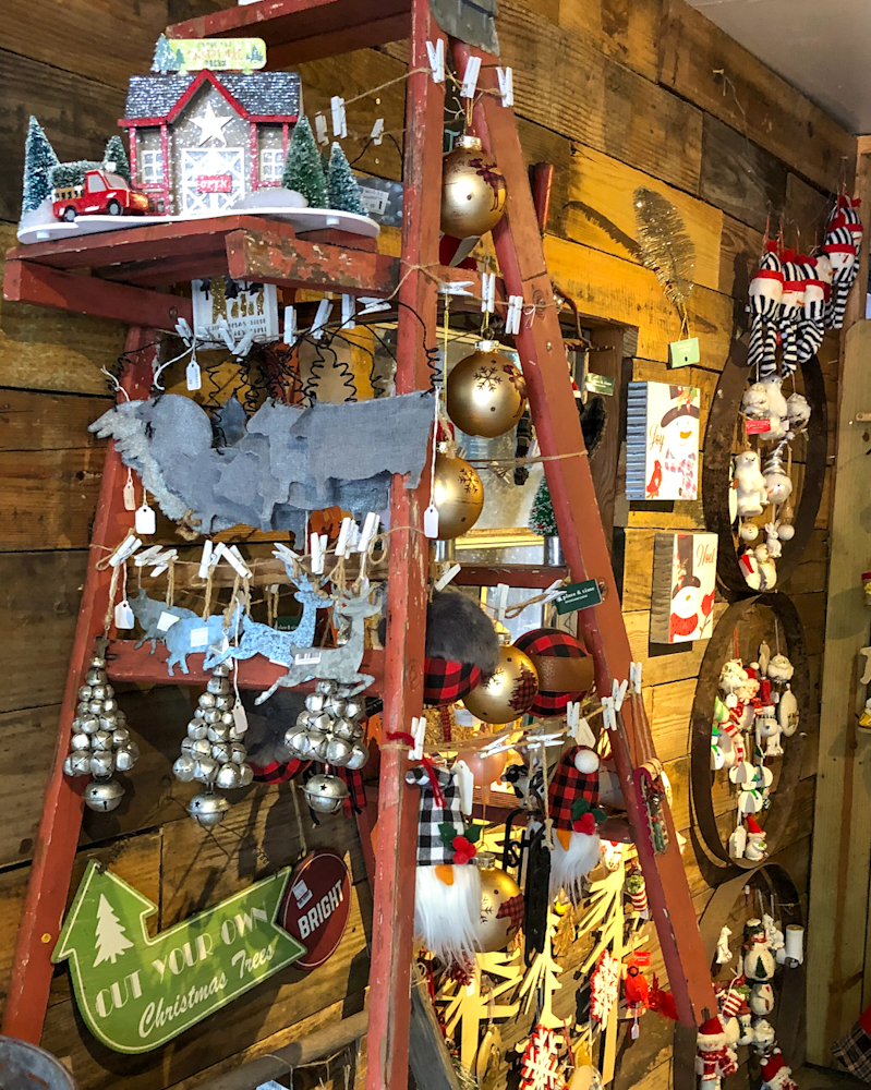 There's more to do here than just cut your own Christmas tree. Don't miss a visit to Santa's Village, which has a Christmas shop, wreath shop, photo ops, all the food stands, and Santa!!