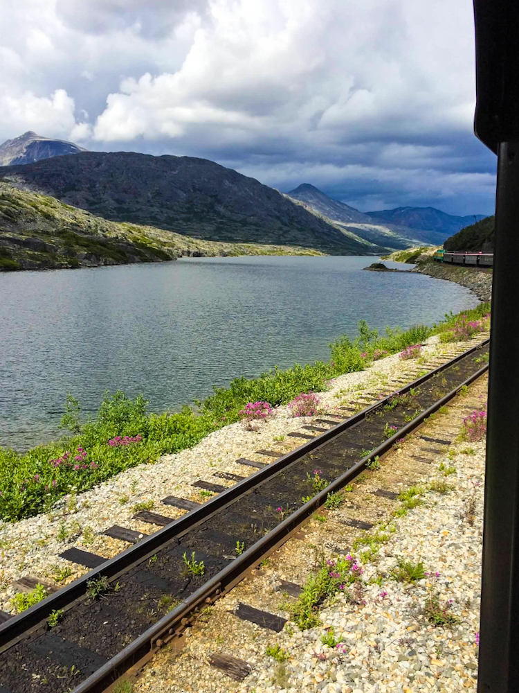 White Pass Railroad takes you up and up into the mountains throwing it back to the times of the gold rush. Best Alaska Cruise - Shore Excursion by far!