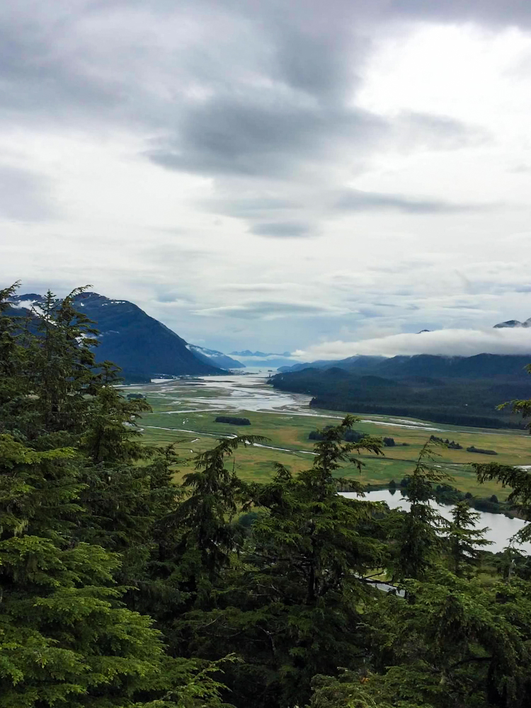 With tons of Juneau excursions to choose from be sure to make it to Glacier Gardens for insane birds eye views. A great stop on the best Alaska cruise.