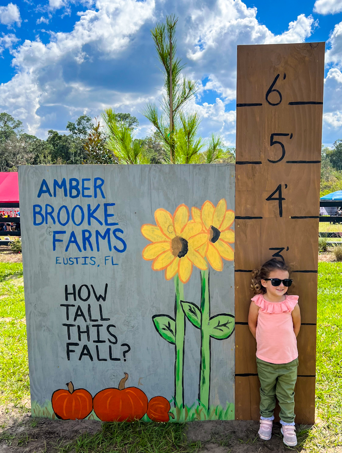 Be sure to stop at one of the many photo spots on Amber Brooke Farm.