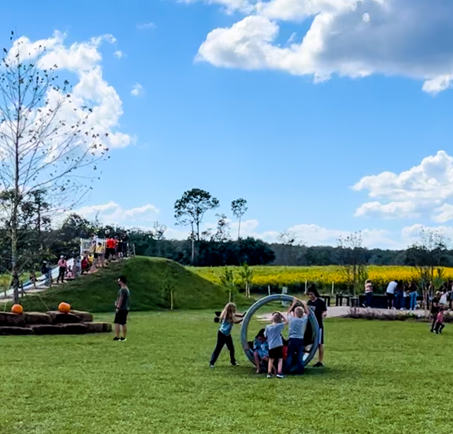 There was no shortage of things to do here at Amber Brooke Farm. Everywhere you look was another fall festival activity fun for kids to enjoy.
