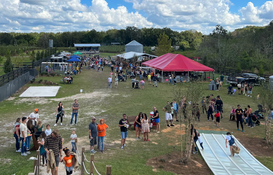There was no shortage of things to do here at Amber Brooke Farm. Everywhere you look was another fall festival activity fun for kids to enjoy.