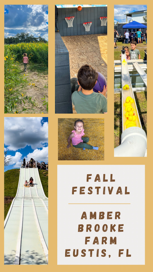 Check out all the info you need for this fall festival that's fun for kids at Amber Brooke Farm in Eustis, Florida.