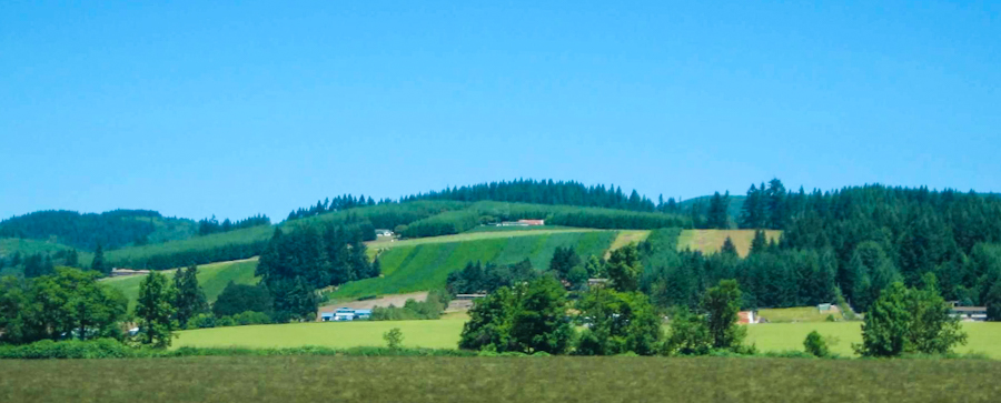 beautiful drive through the farmlands of Oregon on the way to the coast from Portland