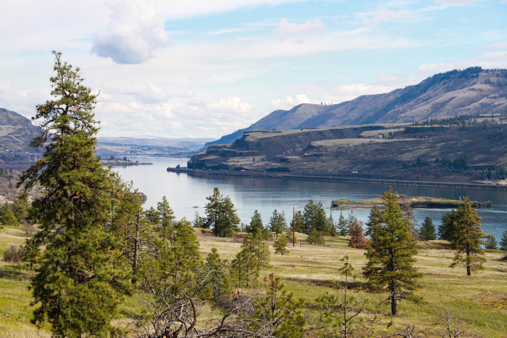 Here is where the Hood River meets the Columbia River Gorge.