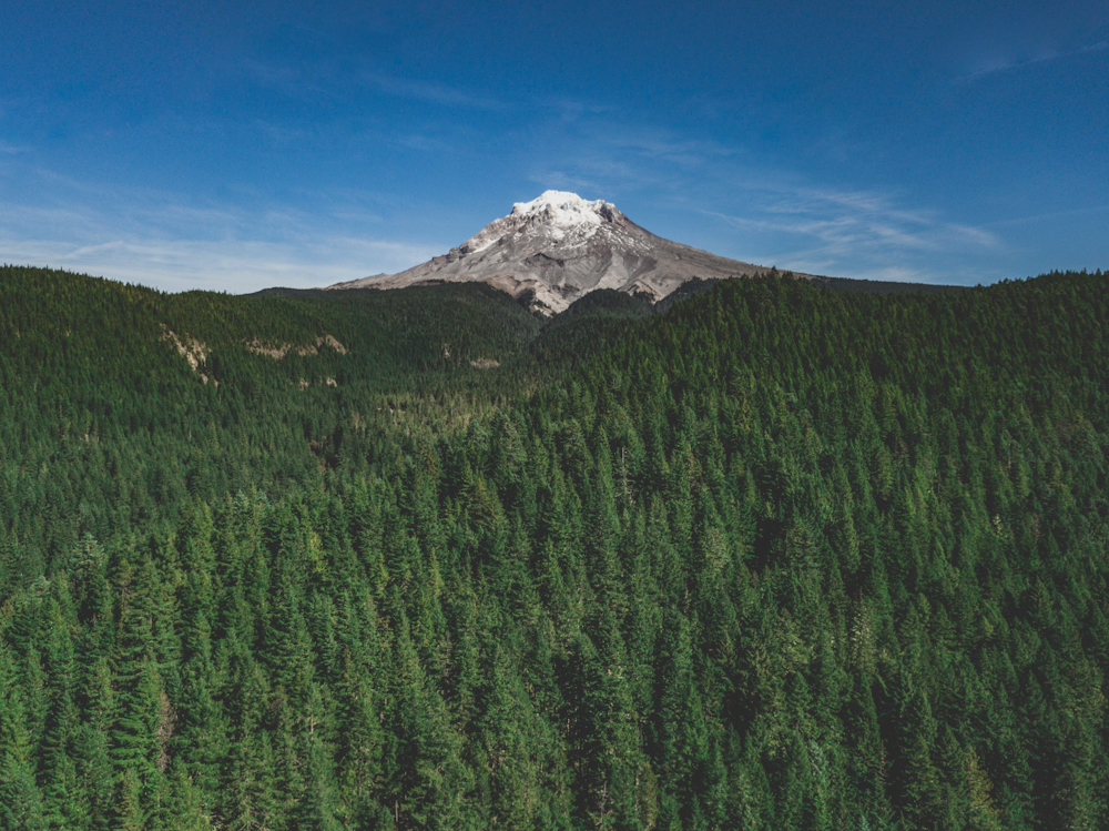 Views of Mount Hood on your Oregon Road Trip