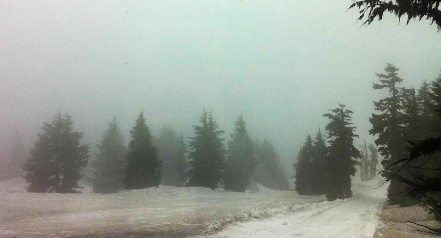 Even in the summer, you can have a snowy foggy view from the top of Mount Hood.