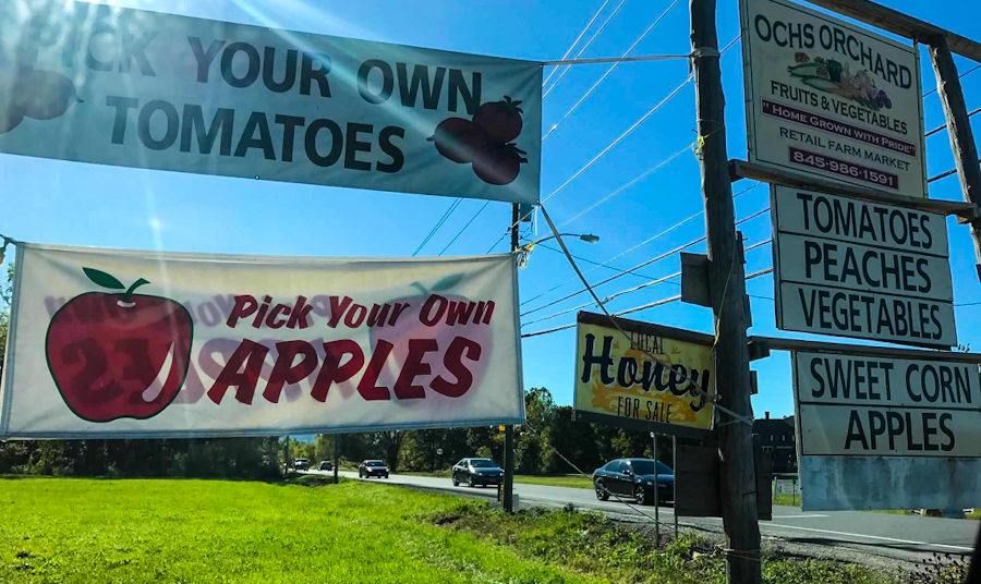 If you are looking for a fun outdoor activity, then try u pick apples at Ochs Orchard in Warwick, New York. Ochs Orchard has a u pick for every season of the year, so there’s never a bad time to visit. 