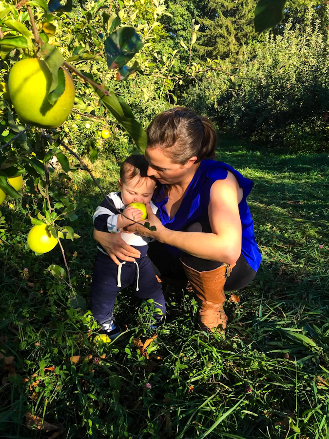 Read more about the article U Pick Apples (and More!) at Ochs Orchard