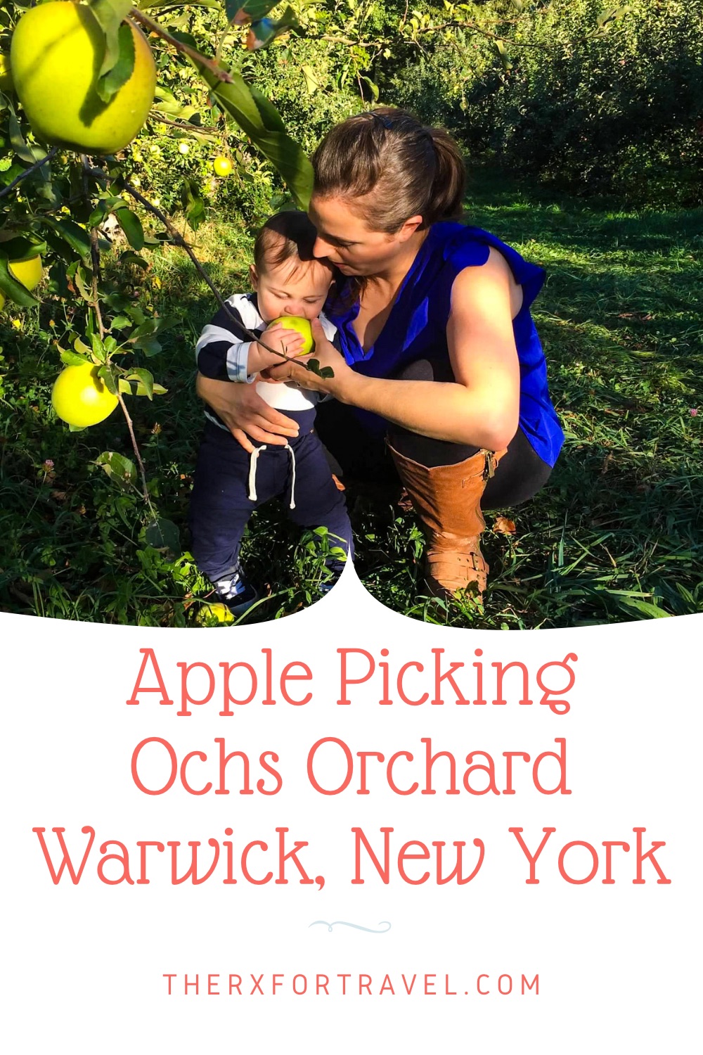 If you are looking for a fun outdoor activity, then try u pick apples at Ochs Orchard in Warwick, New York. Ochs Orchard has a u pick for every season of the year, so there’s never a bad time to visit. 