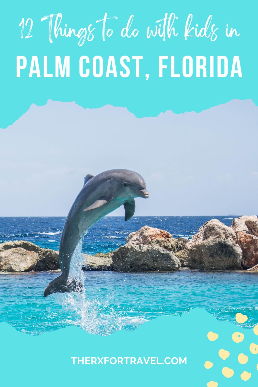Things to do in palm coast florida pinterest pin