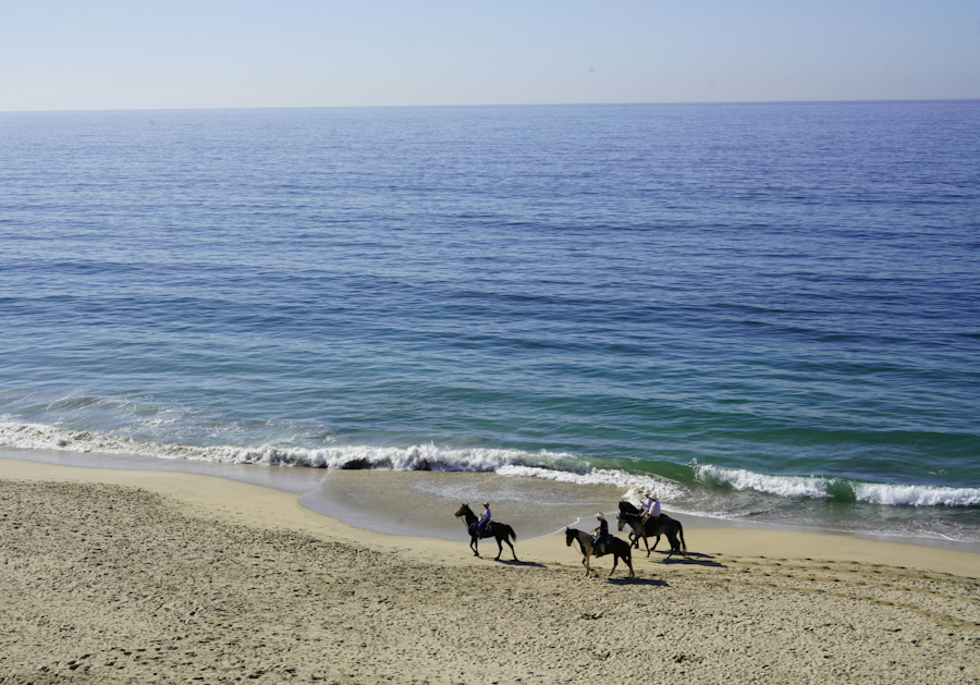 aerial view of people horseback riding on the beach near the water