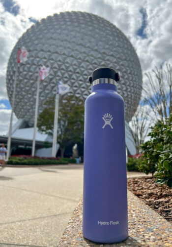 Read more about the article My Favorite Purple Hydro Flask Water Bottle