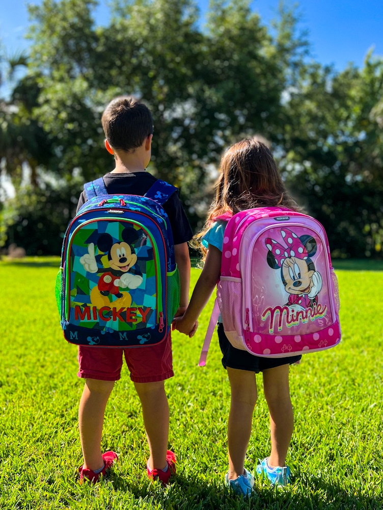 Read more about the article Best American Tourister Backpacks for Travel and School