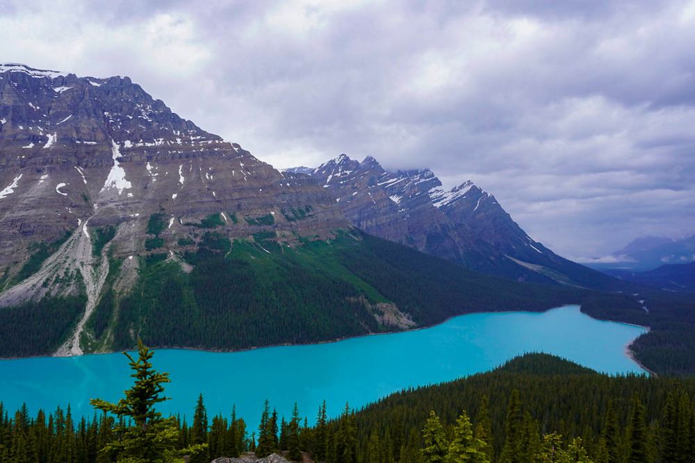 view from the top of a mountain down at Peyto Lake in Banff Canada