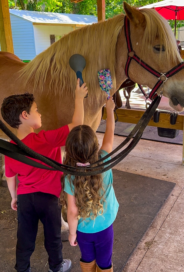 2 kids brushing a horse at Hidden Palms Ranch in Sanford, Florida