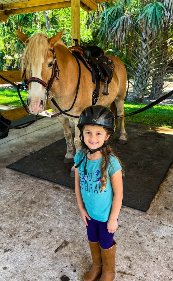 kid in helmet in front of a horse at Hidden Palms Ranch in Sanford, Florida