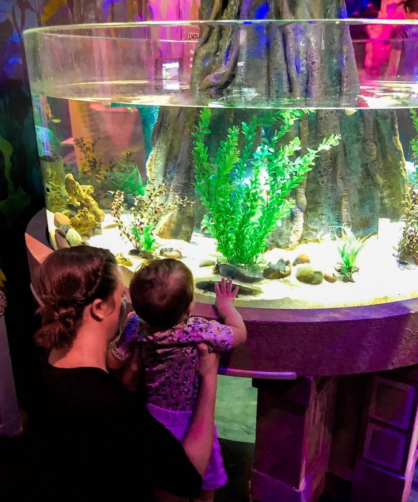 mother and son looking at fish at the SeaLife Aquarium